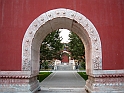 cina 177